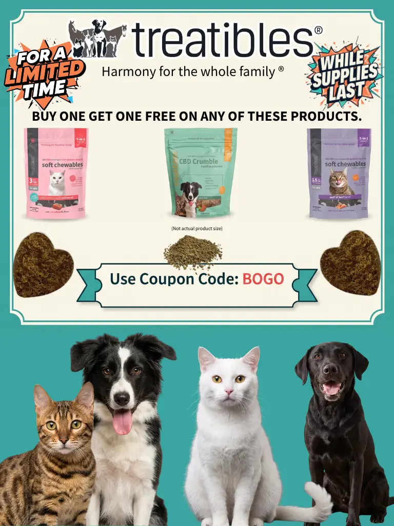 BOGO Mobile website banner