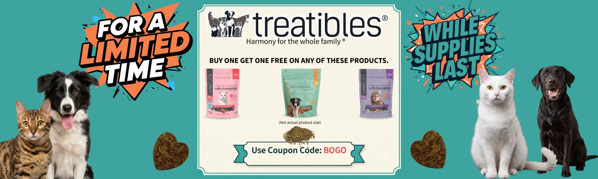 BOGO website banner