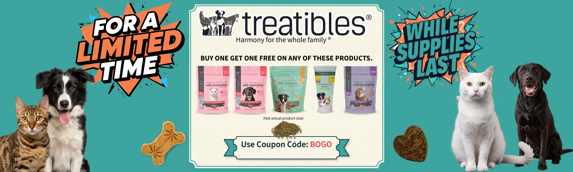 BOGO website banner