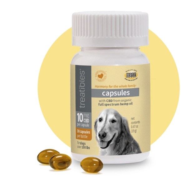 Capsules 10 mg CBD For Dogs Over 100lbs with capsules showing