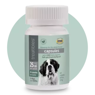 Capsules 25 mg CBD For Dogs Over 150lbs