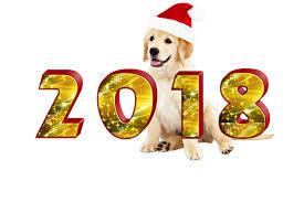 New Year’s Resolutions for Your Pet(s)