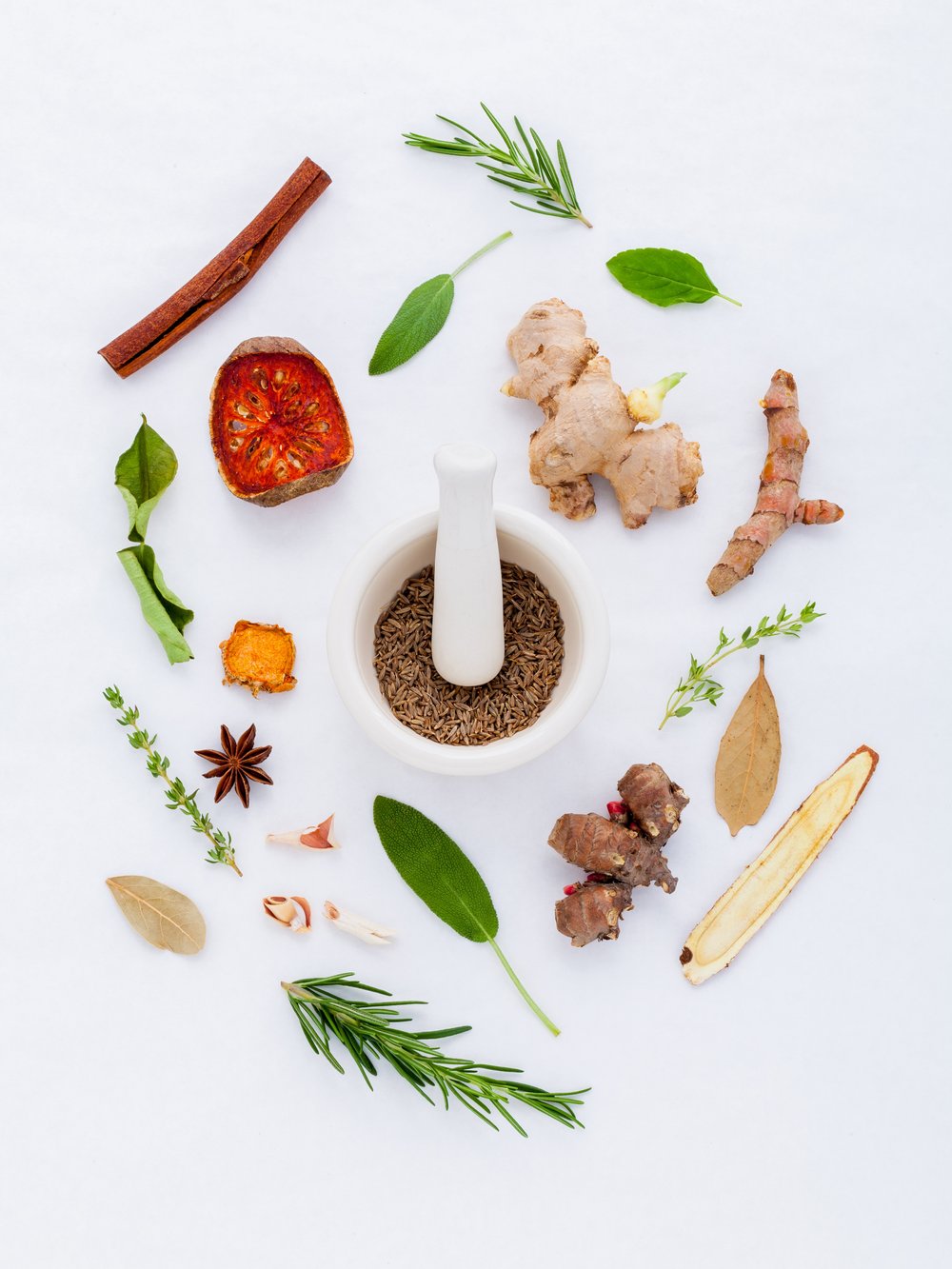 How Dietary Changes Can Positively Impact Your Pet’s Digestion