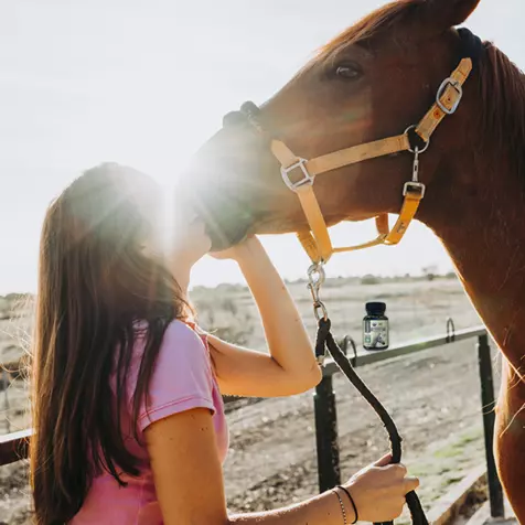 Image of woman kissing her horse on the nose with sunlight in the background.