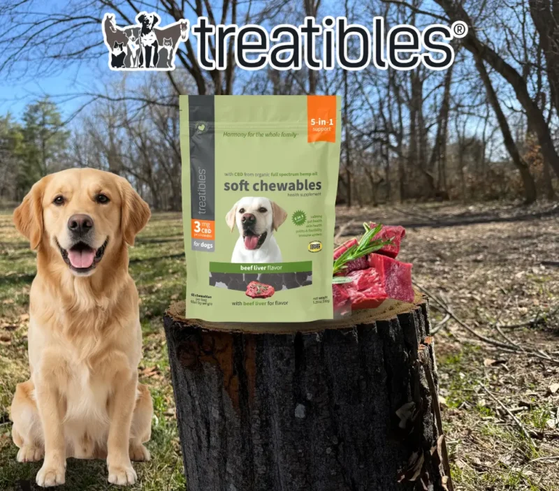 Beef Liver flavored Soft chewable lifestyle product image.