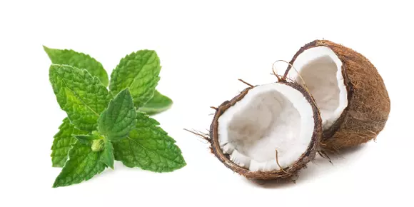 Peppermint and Coconut Oil