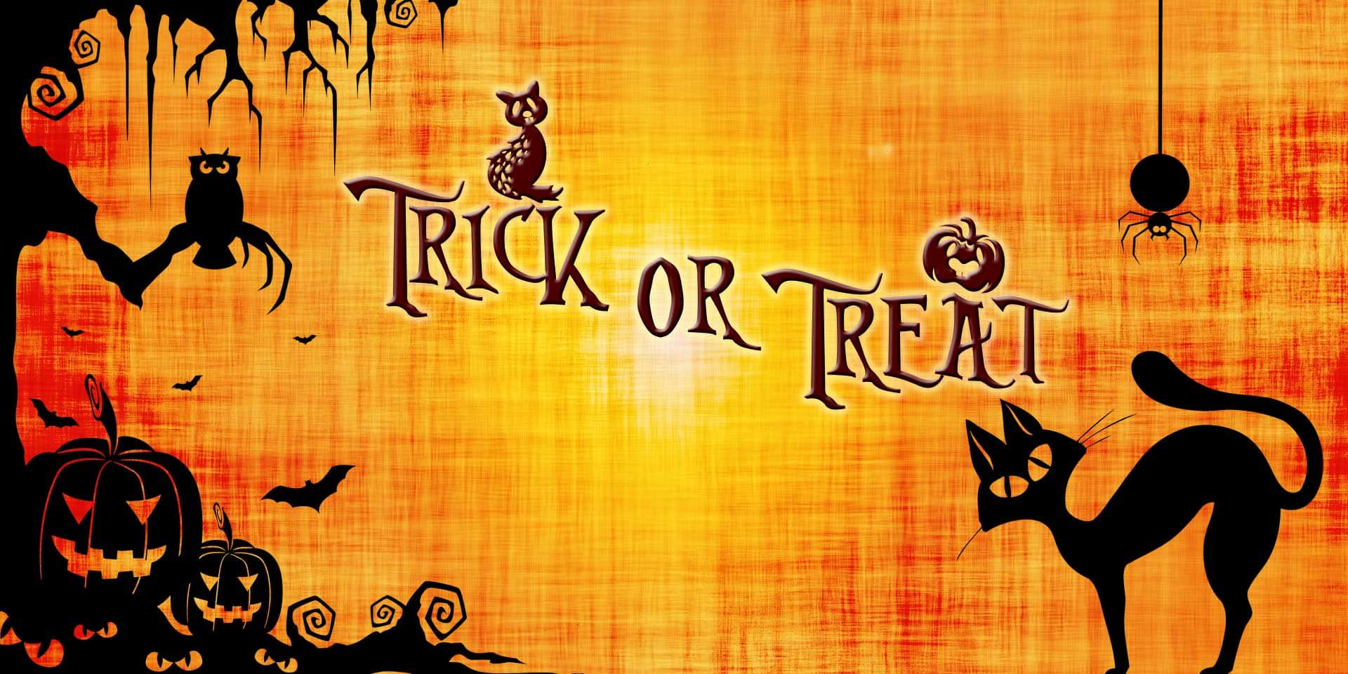 4 Simple Tips to Keep Your Pet Safe and Stress Free on Halloween