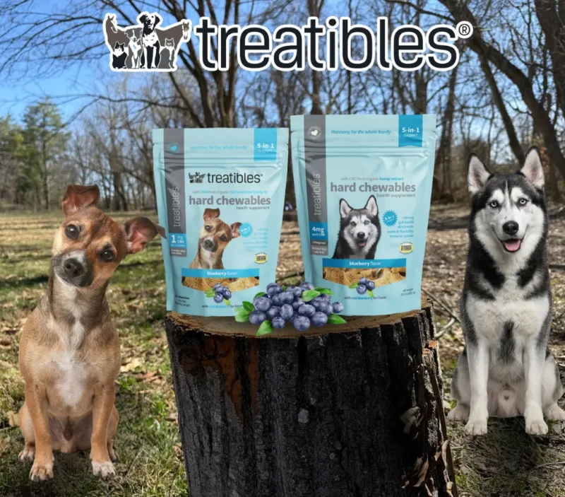 Blueberry flavored Hard chewable lifestyle product image.