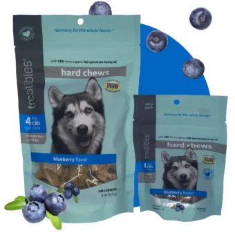 image of dual blueberry hardchews with colored circle background