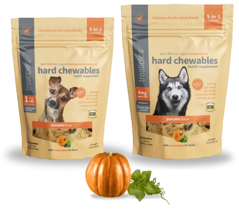 Pumpkin Flavored Hard Chewables 1mg and 4mg product image.