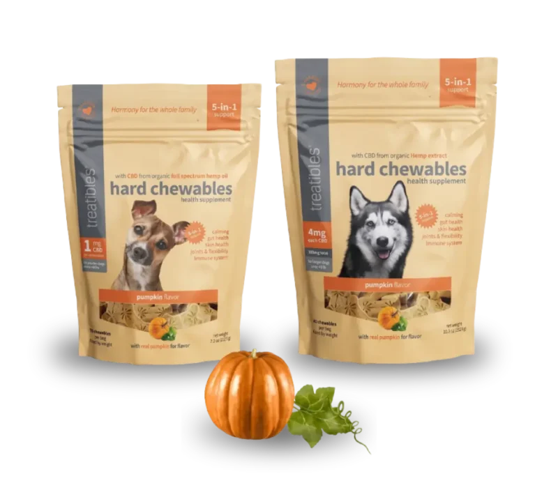 Pumpkin Flavored Hard Chewables 1mg and 4mg product image.