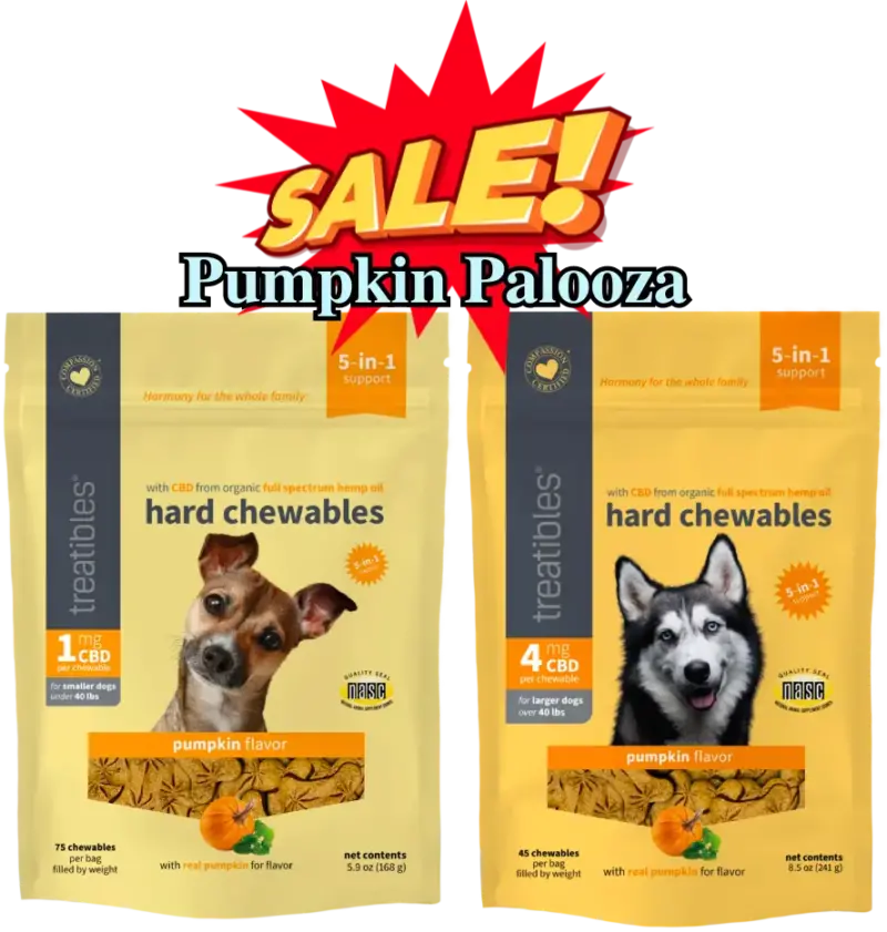 PumpkinPalooza Product image