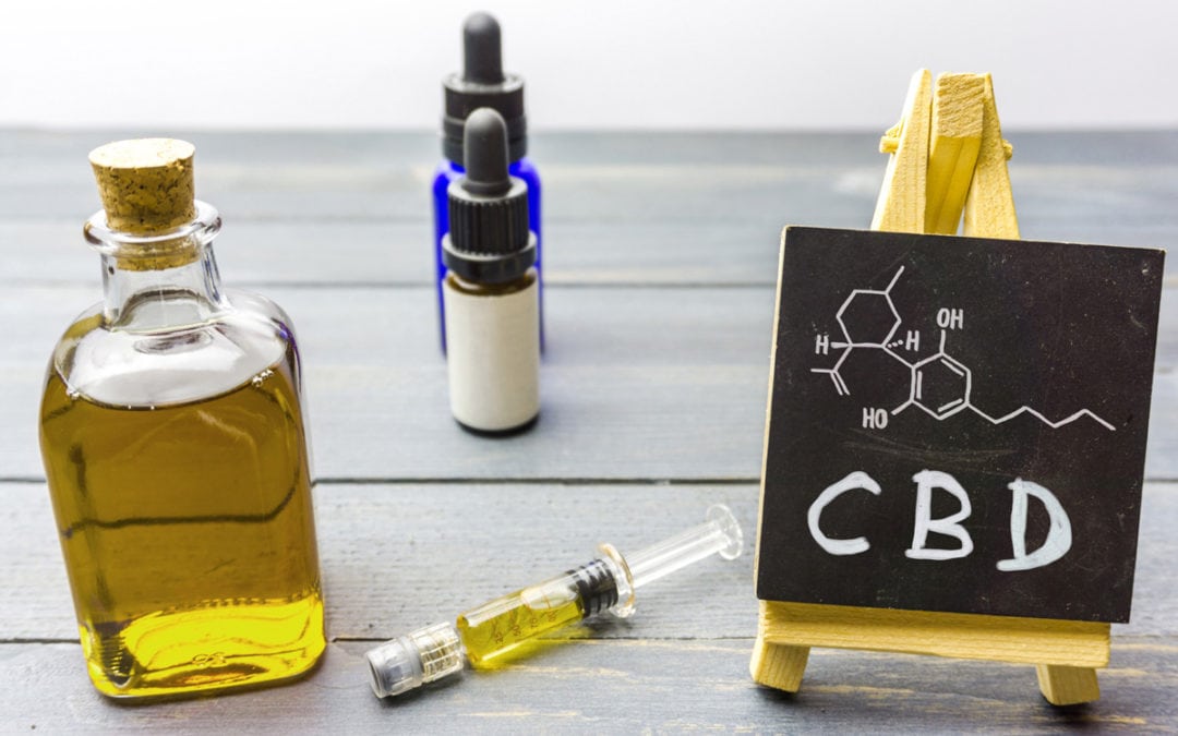 What Is Water Soluble CBD And Is It Really Beneficial For Pets?