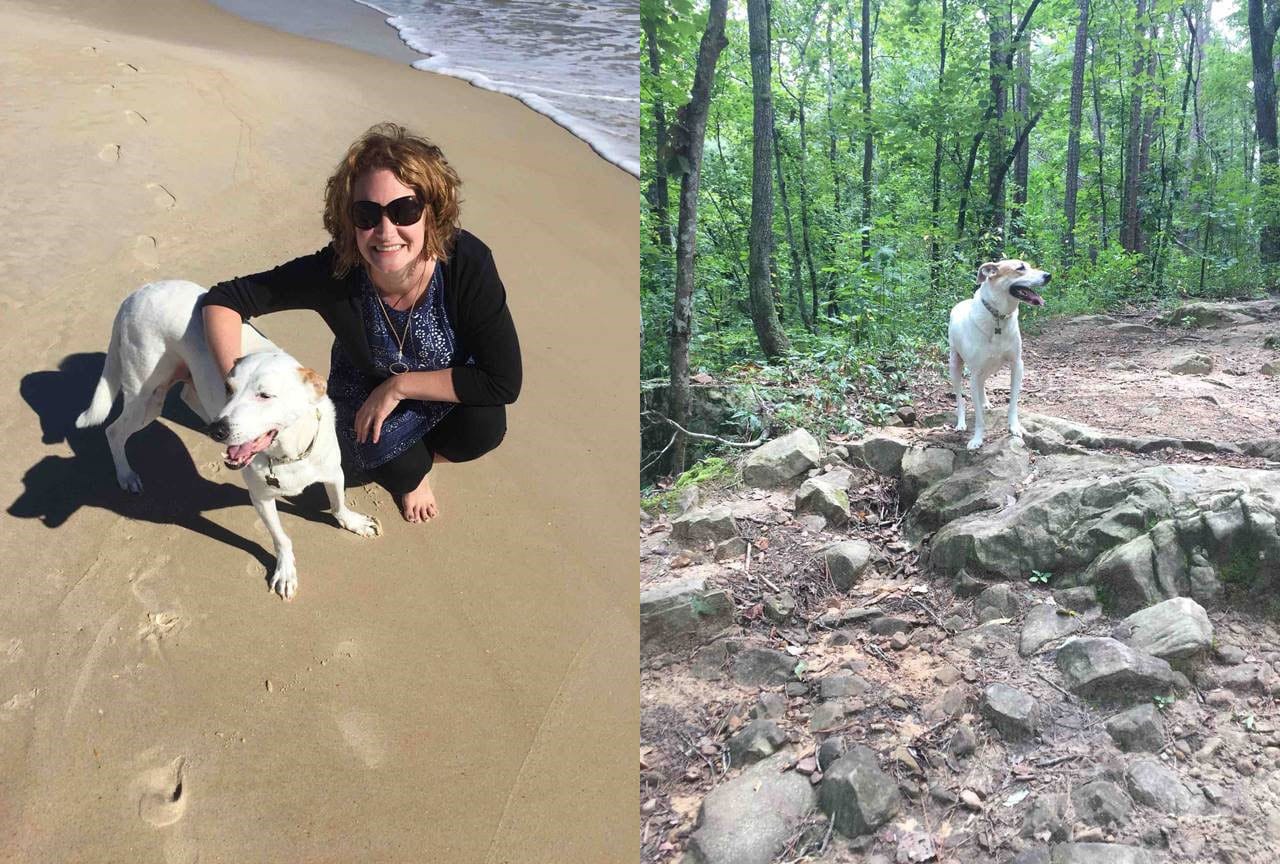 Side by side images of Remi the mutt on the beach and walking through a forest