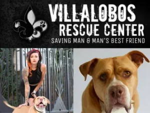 Image of Pit Bull Tater Tot and his human mama Mariah from the Villalobos Rescue Center in New Orleans
