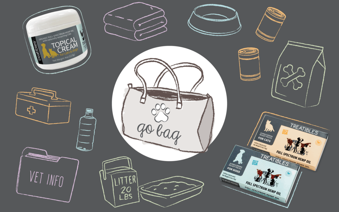 How To Create An Emergency or Evacuation Kit For Your Pet