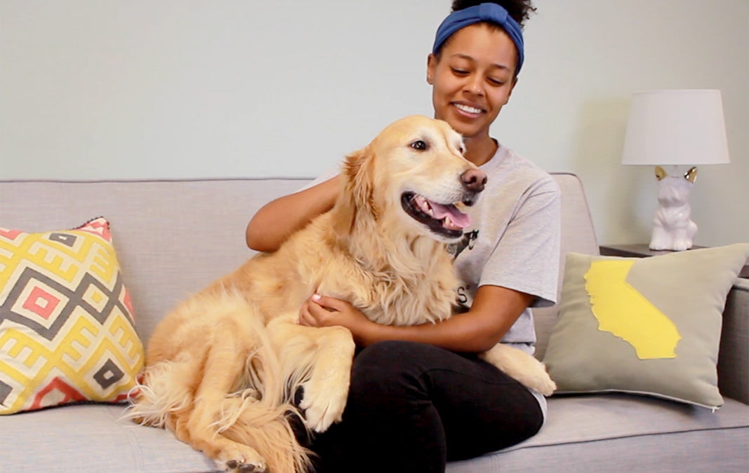 Showing Pets Gratitude on Thanksgiving