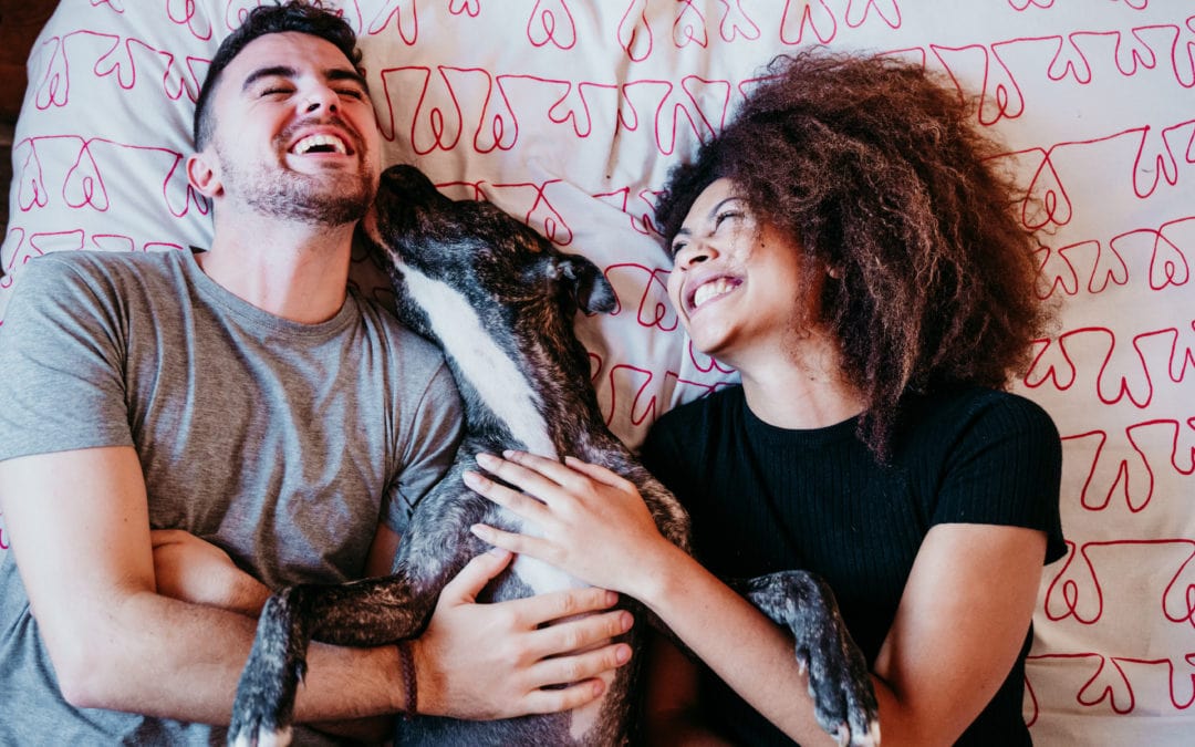 Pets are winning big in the time of quarantineHow Treatibles can help make things even better