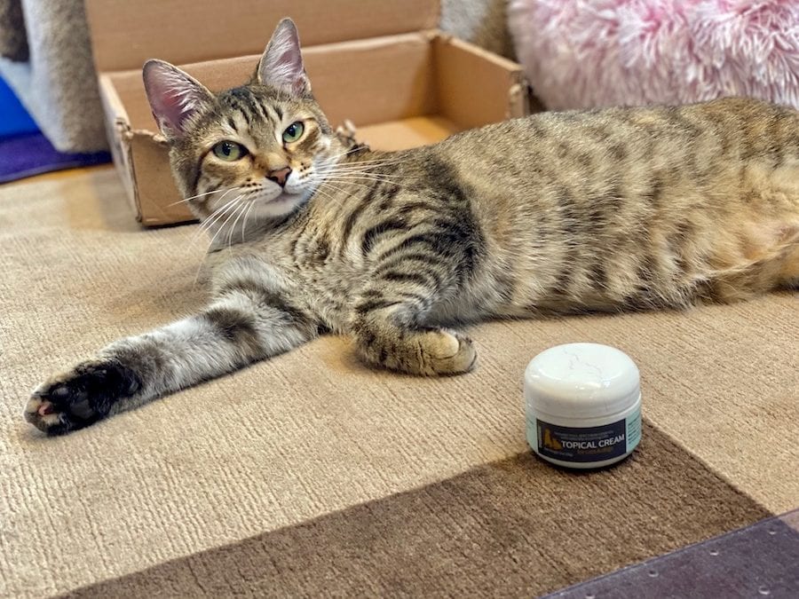 Purrr Inc.