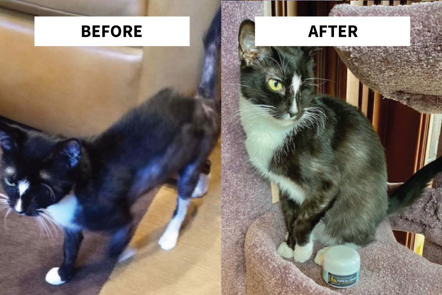 Gracie-Before-After
