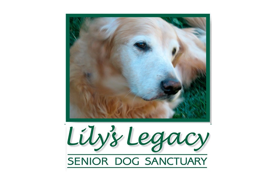 lilys-legacy-senior-dog-sanctuary
