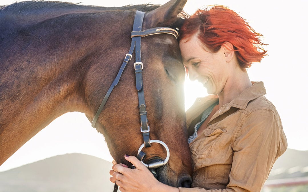 Whoa, Nelly! Treatibles Can Help Horses, Too