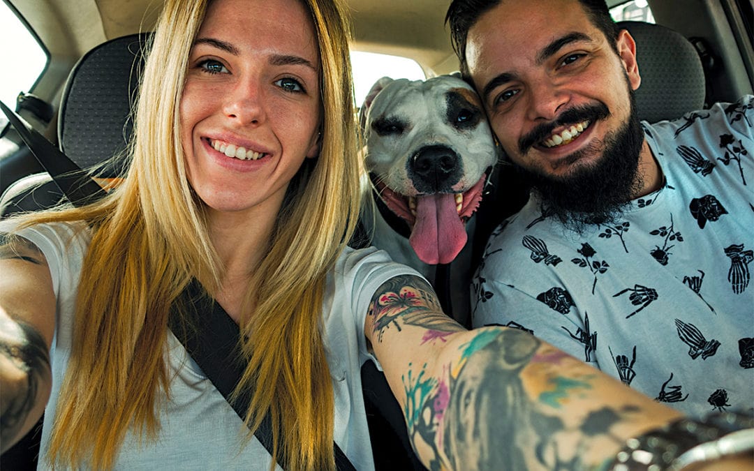 What You May Not Know About Shelter Pets