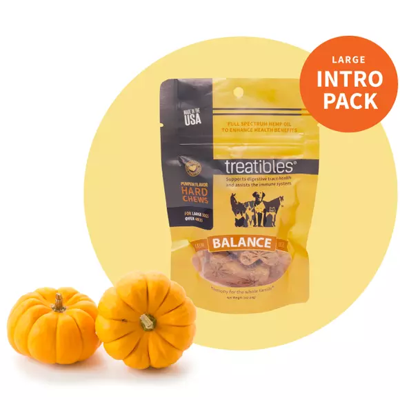 Orange bag of Treatibles Balance Organic Full Spectrum Hemp CBD Hard Chews with pumpkin flavor for small dogs