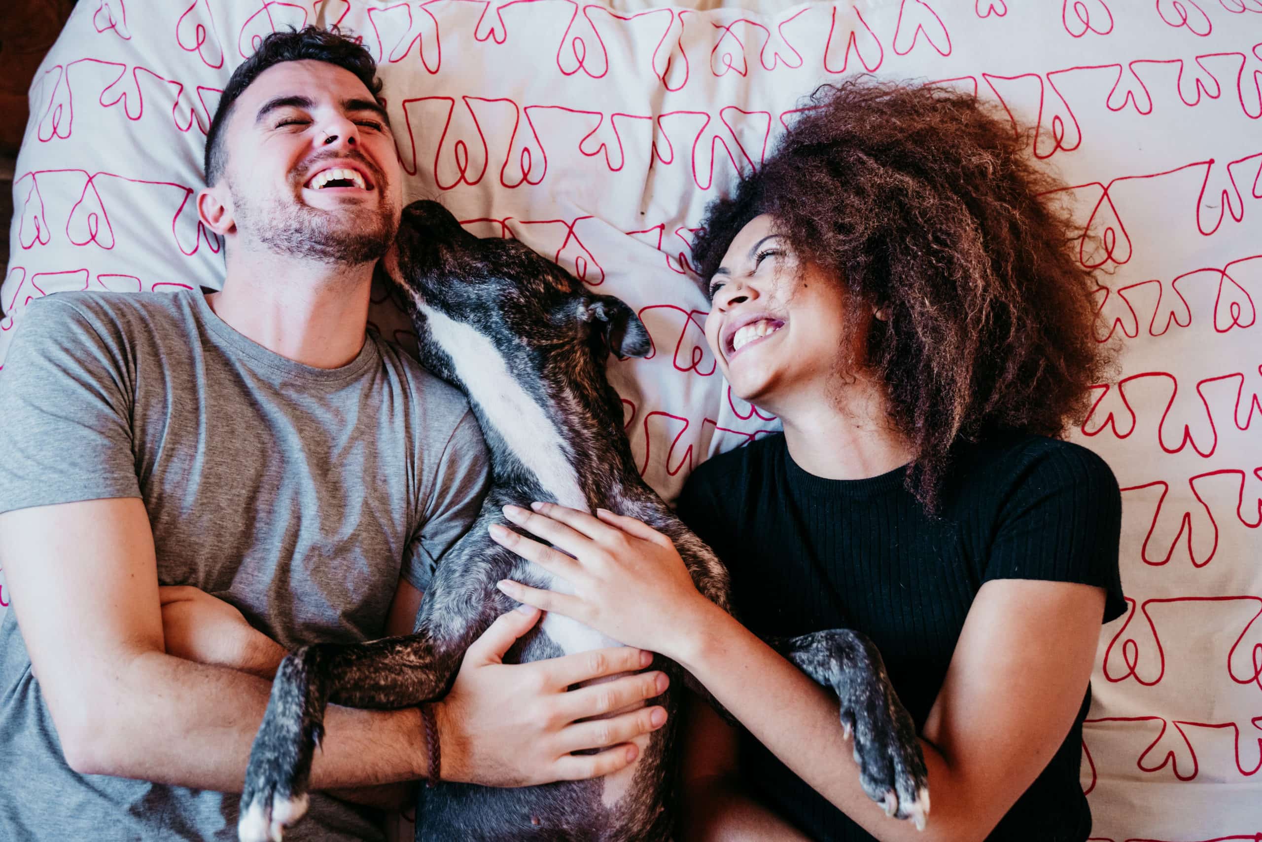 Happy couple in love laying in bed cuddling dog during pandemic quarantine