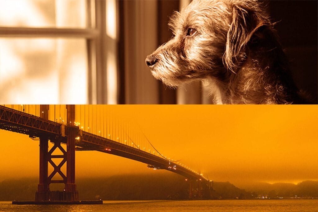 eery image of orange smoke filled sky over the Golden Gate Bridge
