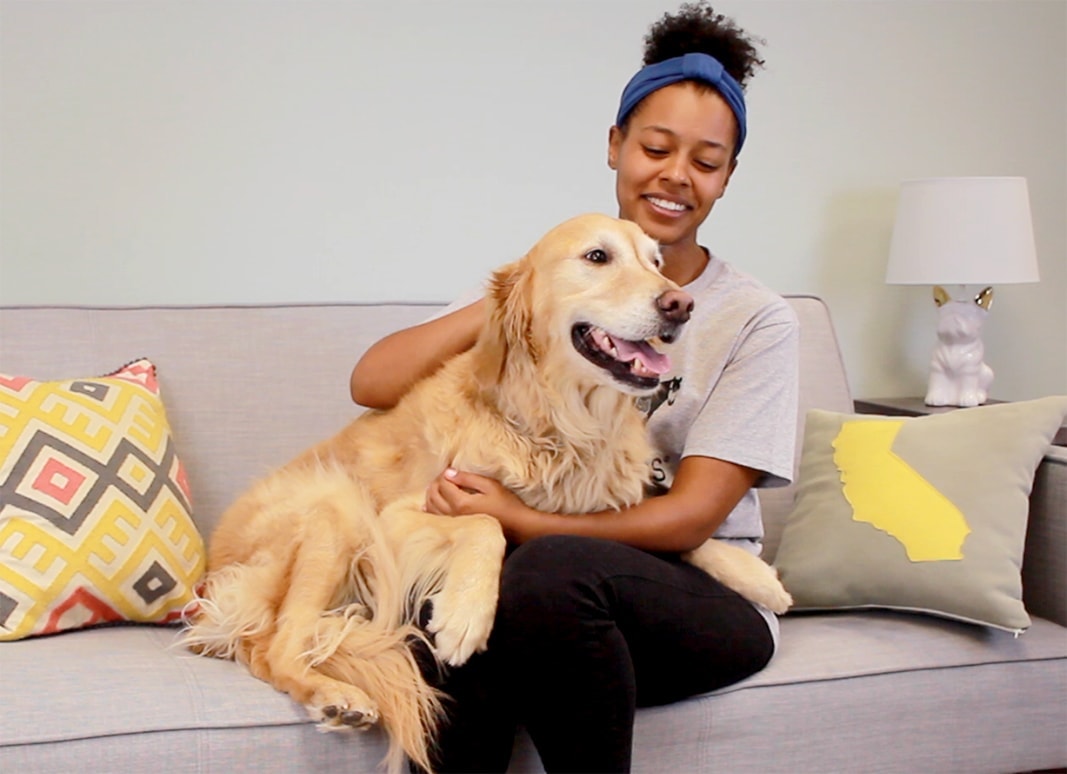 Young woman showing thanks for her pet by hugging Golden Retriever