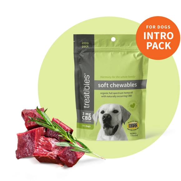 Image of the green front of the Intro Pack size bag of Treatibles Soft Chewables for Dogs with raw beef liver cubes to the side of the image