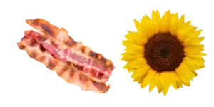 image of bacon and a sunflower