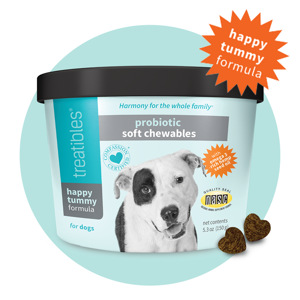 image of the front of the Treatibles Happy Tummy Probiotic Soft Chewables canister featuring a cute white dog with a black circle around his right eye