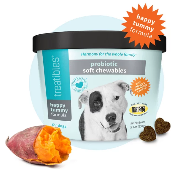 Image of the aqua canister of Treatibles Happy Tummy Probiotic Soft Chewables for Dogs with two heart shaped chewables placed on the lower right of the canister and a baked sweet potato on the lower left side