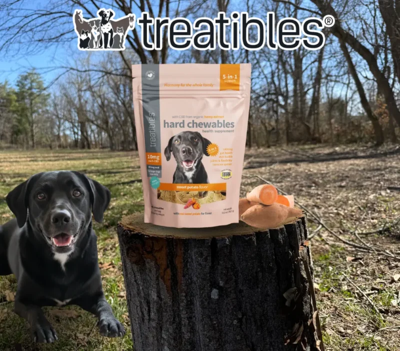 Sweet Potato flavored Hard chewable lifestyle product image.