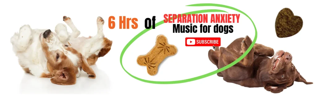 6 hours of separation anxiety music for dogs banner