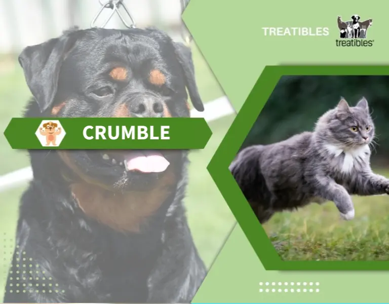 Treatibles Crumble shop page mobile banner