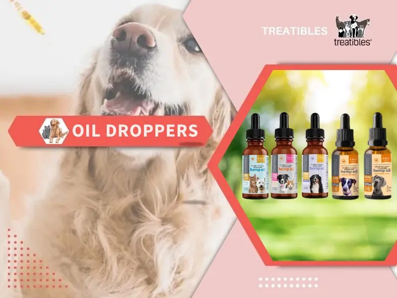Oil Dropper 800 x 600 web banner