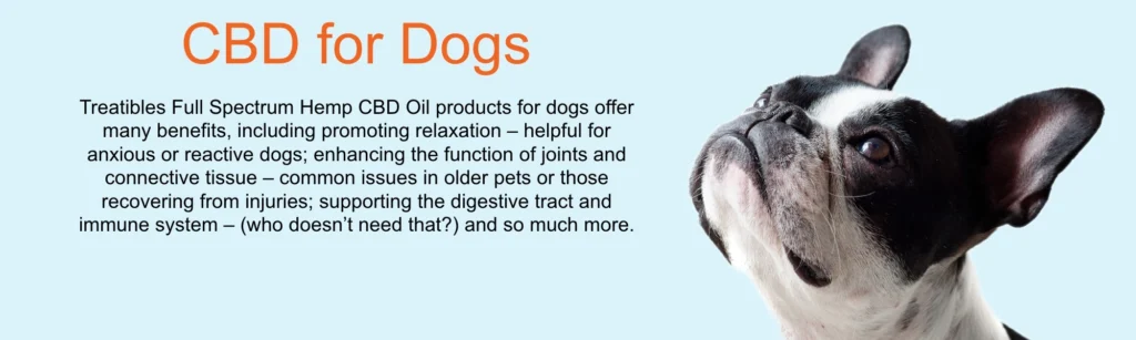 CBD for dogs page banner