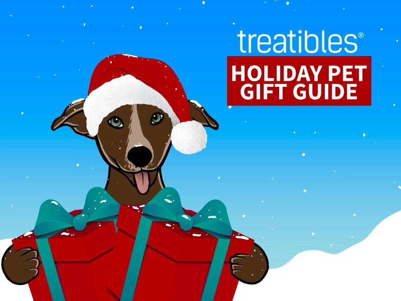 image of blog pet gift guide