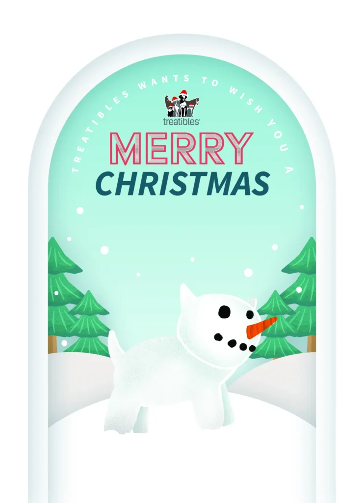 image of the front view digital christmas card