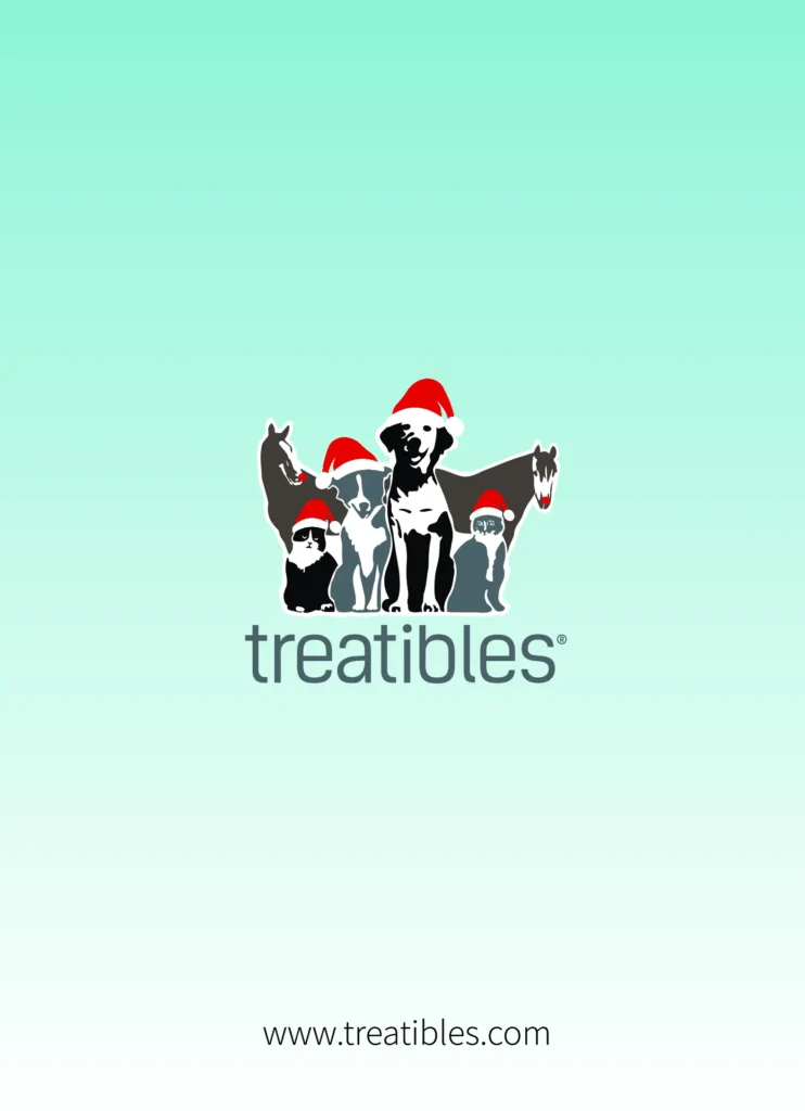 image of the back view of Digital Christmas card