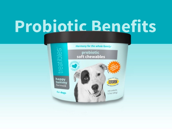 Image of graphic for benefits of probiotics for pets blog