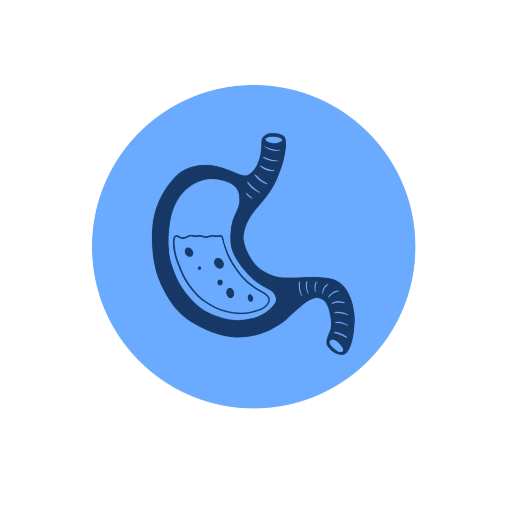Icon representing gut health, featuring a stylized stomach on a blue background, associated with Treatibles' 5-in-1 pet support product for enhancing gut health in pets.