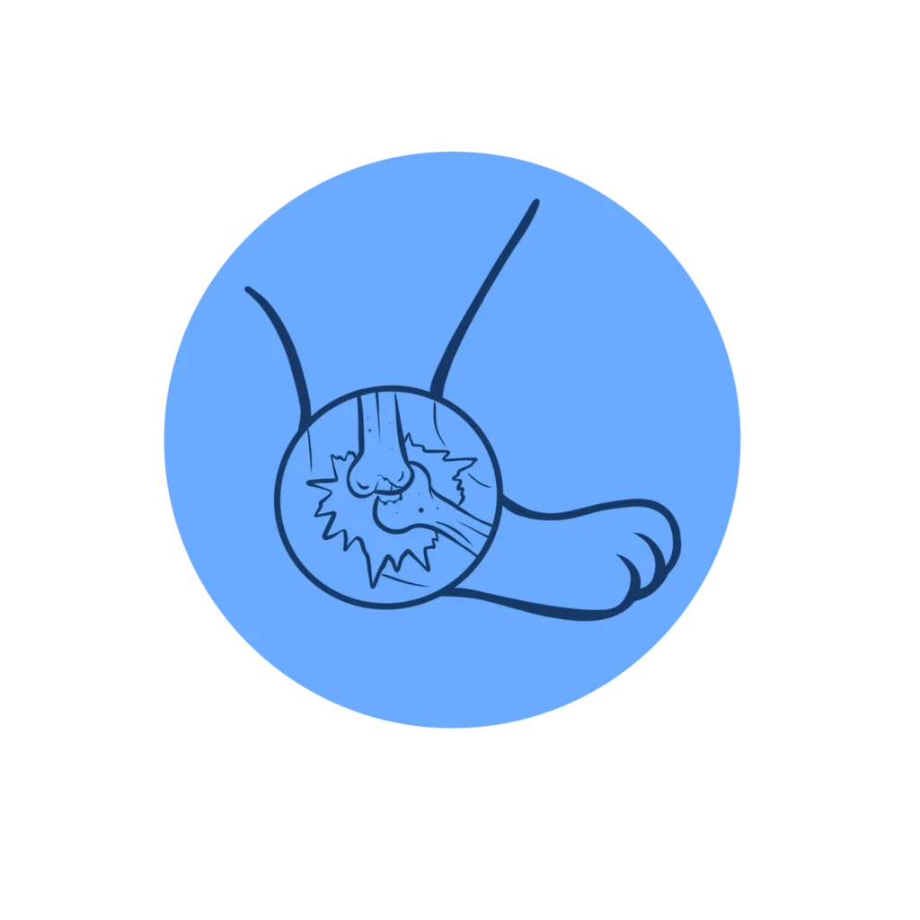 Joint health icon illustrating a dog's paw and joint, emphasizing mobility and support for pet wellness through CBD-infused products.