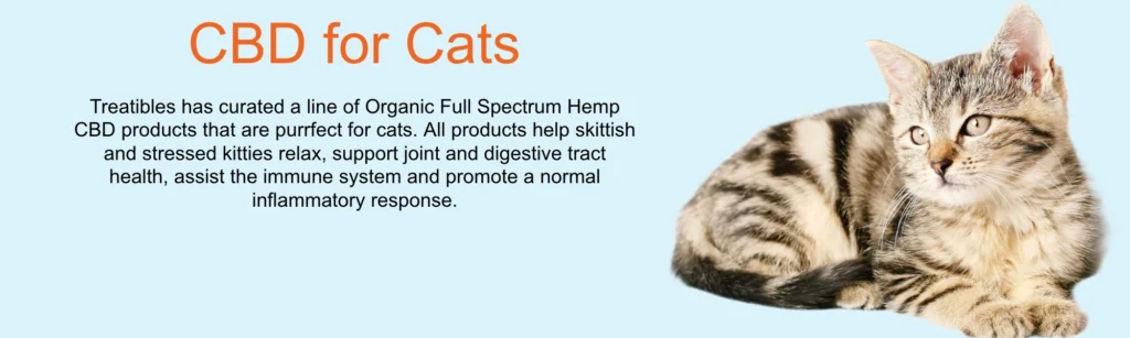 CBD for Cats page banner