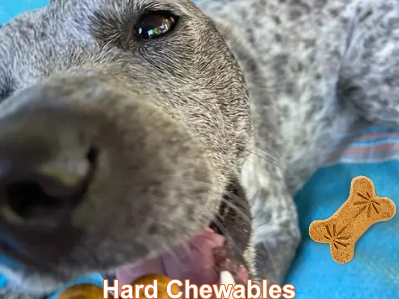 Hard Chewables category image