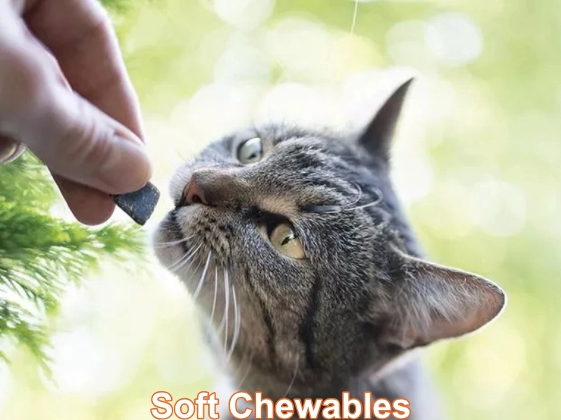 Soft Chewables Category image