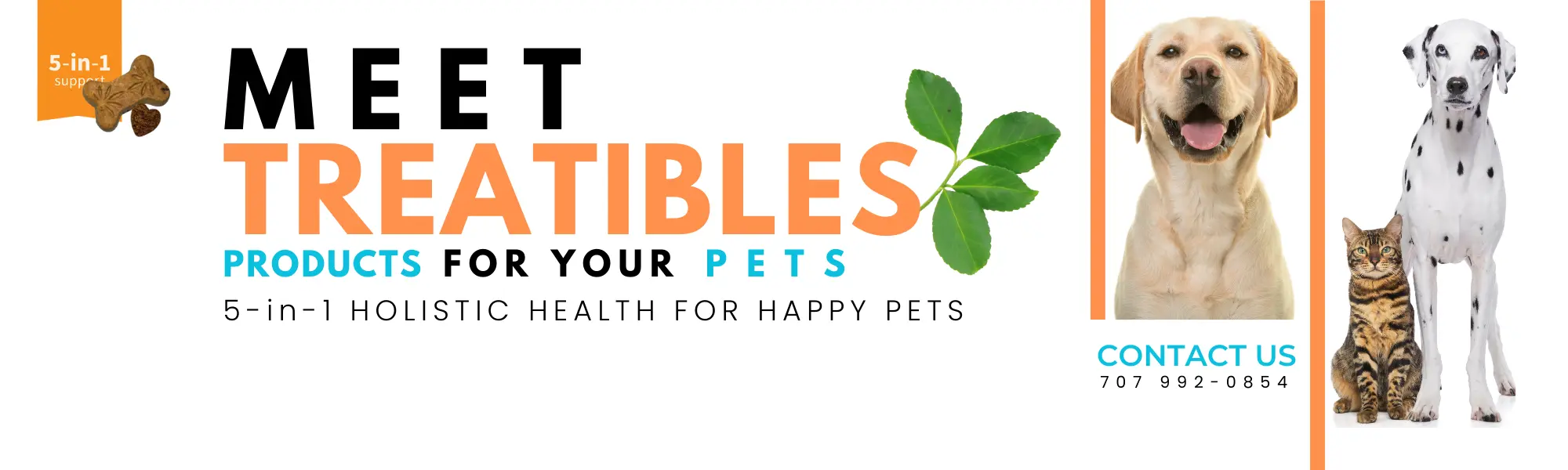 Meet Treatibles pet CBD products with a Labrador, Dalmatian, and cat, featuring a 5-in-1 holistic health theme for happy pets.